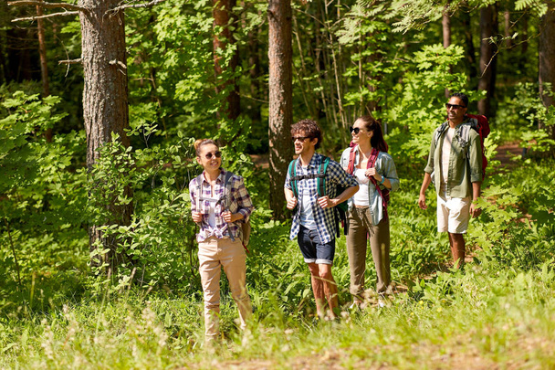 group of friends with backpacks hiking in forest - Photo, image