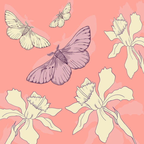 line drawing butterflies and narcissus - Vetor, Imagem