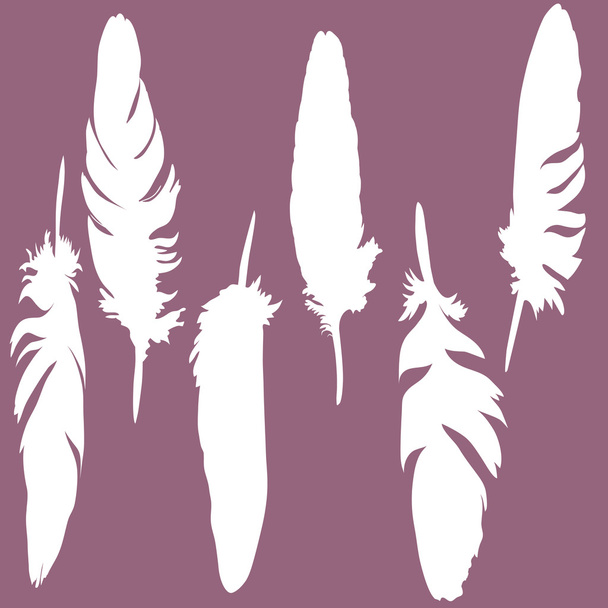 Six silhouette feathers - Vektor, kép