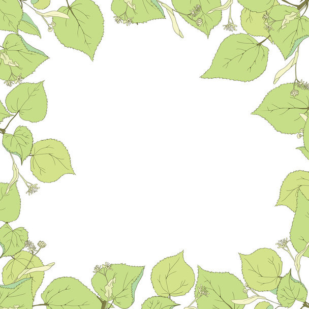 linden leaves, branches and flowers - Vector, Imagen