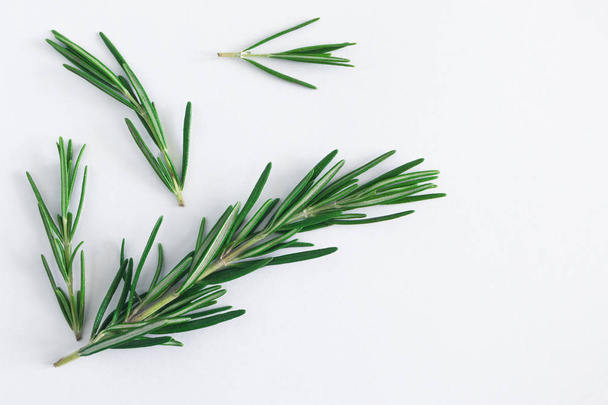 Rosemary sprigs collection close-up on white  - Foto, imagen