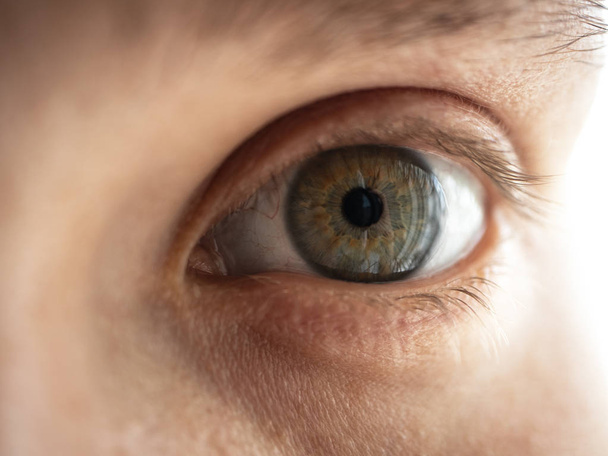 Κοντινό-up ανθρώπινο μάτι, μακρο πράσινη υφή του ματιού ίριδας - Φωτογραφία, εικόνα