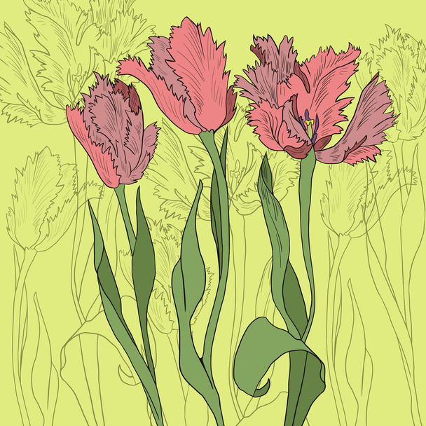 Bouquet of tulips - ベクター画像