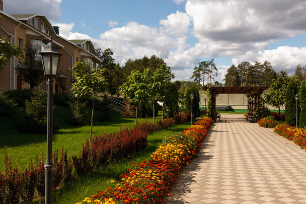 A quiet street in a modern country village on a sunny summer day. In the foreground Street lamp. The paved path is laid past flower beds, ornamental shrubs and trees. - Photo, Image