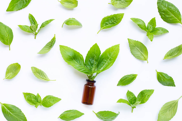 Una botella de aceite esencial con hojas de albahaca fresca sobre blanco  - Foto, imagen