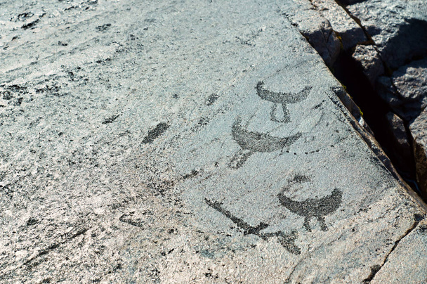 Grabados antiguos petroglifos en las placas de piedra de la orilla del lago Onega
 - Foto, imagen