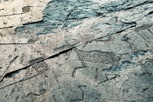 Rotstekeningen oude gravures op de stenen platen van Onega Lake Shore - Foto, afbeelding