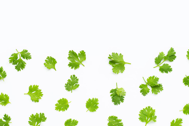 Fresh coriander leaves on white background. - Photo, Image