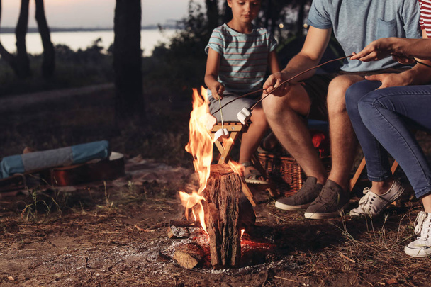 Rodzinny pieczenie Marshmallow nad ognisku w godzinach wieczornych - Zdjęcie, obraz