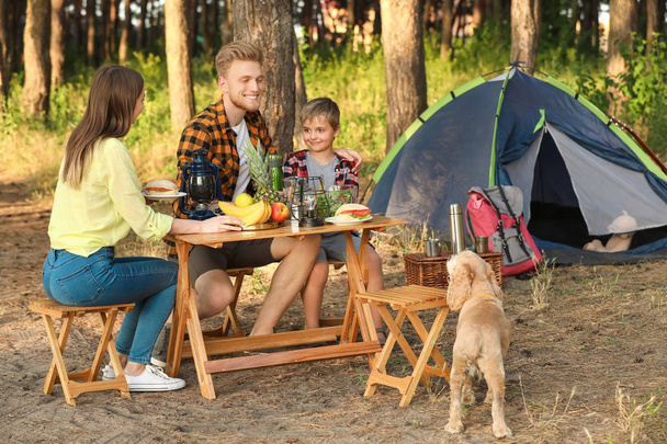 glückliche Familie beim Picknick im Wald - Foto, Bild