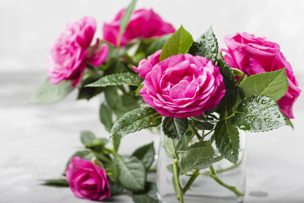 Amazing wild pink roses - Zdjęcie, obraz