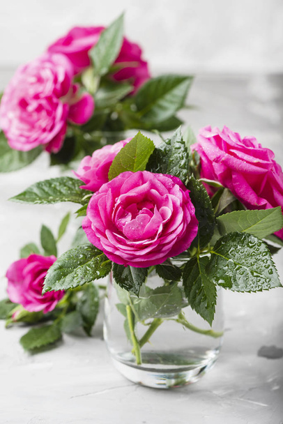 Amazing wild pink roses - Фото, изображение