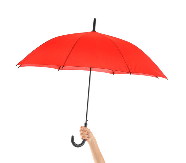 白い背景にスタイリッシュな傘を持つ女性の手 - 写真・画像