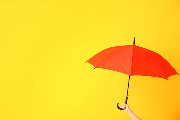Female hand with stylish umbrella on color background - 写真・画像