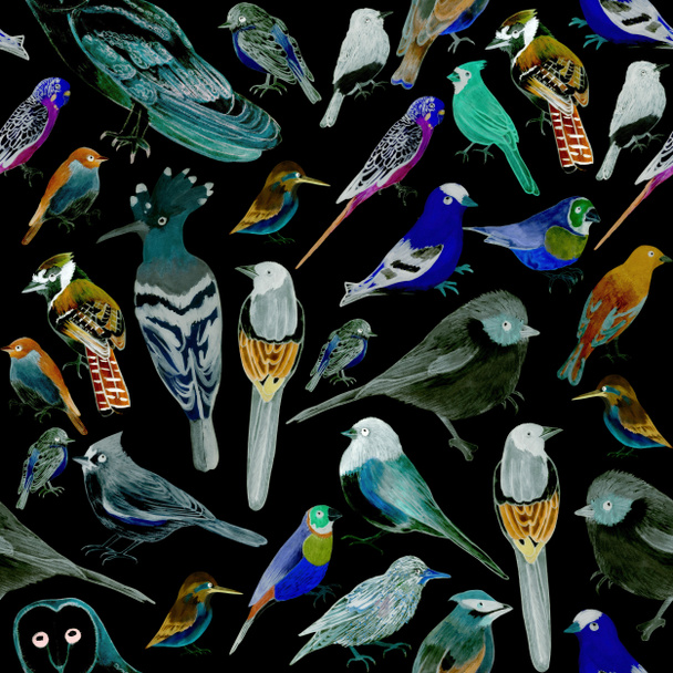 Birds of America- pets and wild birds seamless watercolor background - Photo, Image