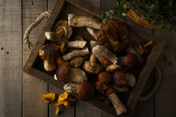 Fresh uncooked forest mushrooms on rustic wooden background, top view, horizontal orientation - Foto, imagen