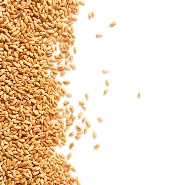 granos de trigo sobre fondo blanco - Foto, Imagen