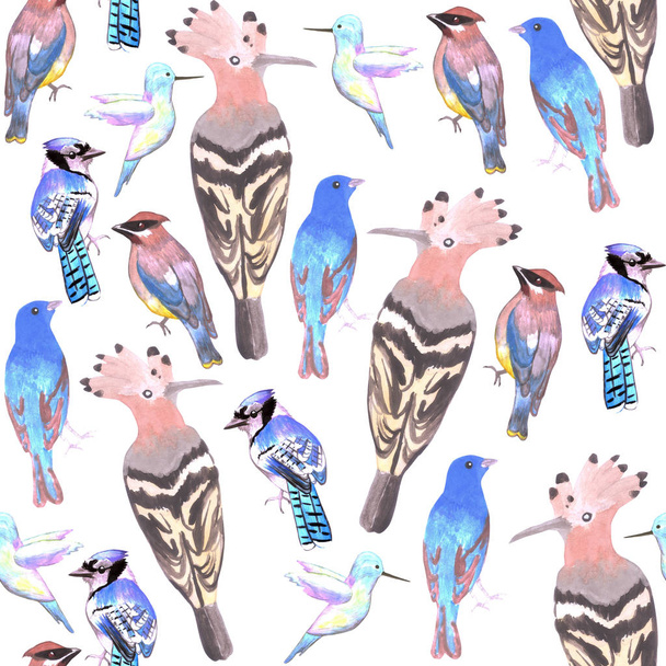 akwarela ptaków w schemacie kolorów tetrad bezszwowe tło - Zdjęcie, obraz
