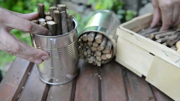 Filling box with blackberry sticks to build insect shelter - Footage, Video