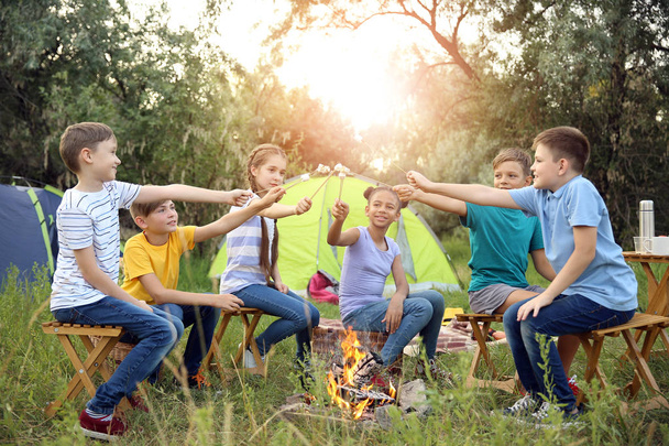 Children roasting marshmallow on fire at summer camp - Foto, Bild