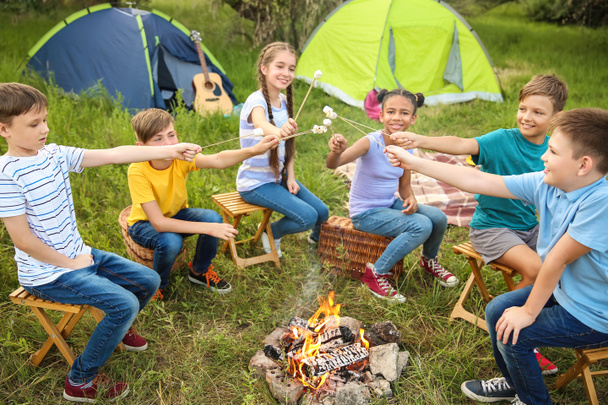 Dzieci pieczenie Marshmallow w ogniu w obozie letnim - Zdjęcie, obraz