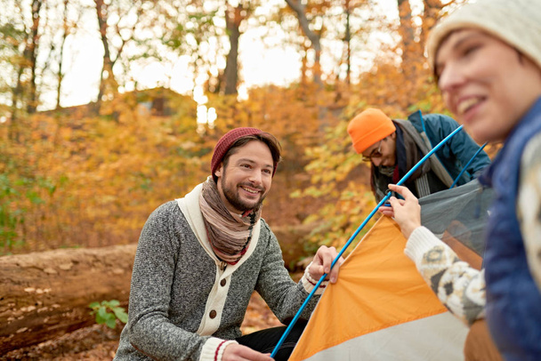 Group of Canadian hikers setting up a tent in a fall forrest - 写真・画像