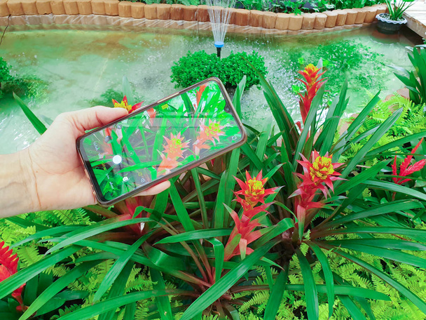 Matkailija ottaa kuvan luonnosta älypuhelimella, näkökulmasta laukaus
 - Valokuva, kuva