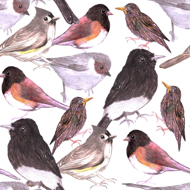 Wild birds seamless background watercolor medium - Photo, Image