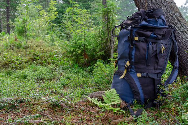 Rucksack Outdoor-Campingausrüstung Wald Natur im Hintergrund - Foto, Bild
