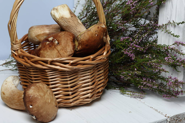 Wicker goat with porcini mushrooms. One mushroom lies nearby. In the background is a bunch of blooming heather and a box of white painted boards. - Fotoğraf, Görsel