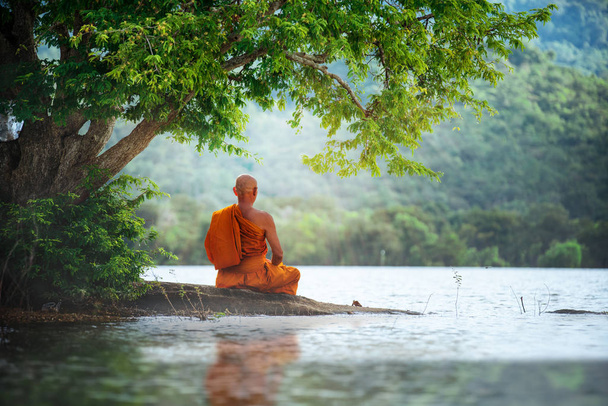 Буддийский монах в медитации у реки
  - Фото, изображение