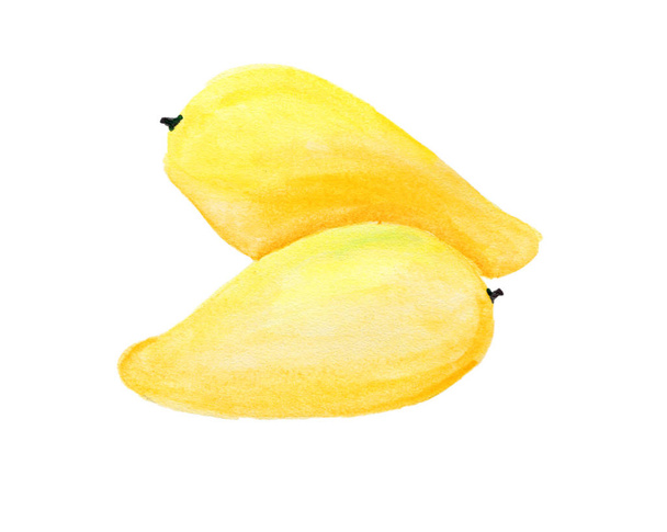 watercolor drawings with fruit can be used in advertising - Photo, image