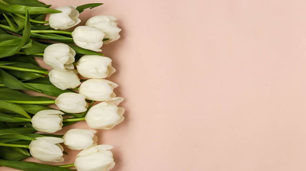 Цветочный ряд свежих весенних белых тюльпанов на светлом пастельном фоне, скопировать пространство, горизонтальная ориентация
 - Фото, изображение