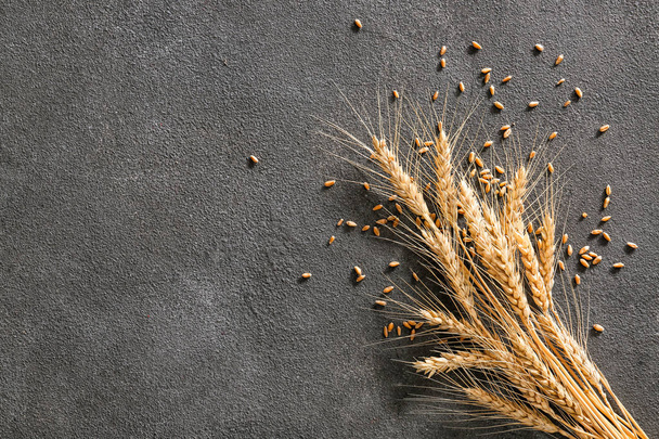 Spille di grano con grani su fondo grigio
 - Foto, immagini