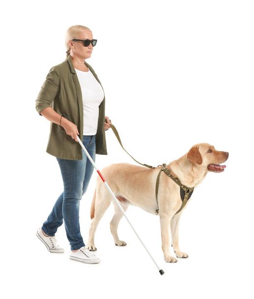 Beyaz arka plan üzerinde rehber köpek ile Kör olgun kadın - Fotoğraf, Görsel