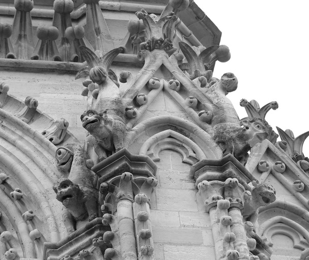Párizs franciaországi Notre Dame bazilikának részlete - Fotó, kép