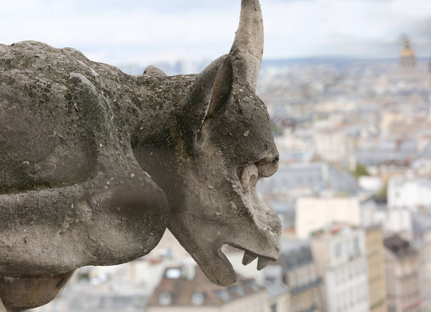 Una gran gárgola de Notre Dame el París en Francia
 - Foto, Imagen