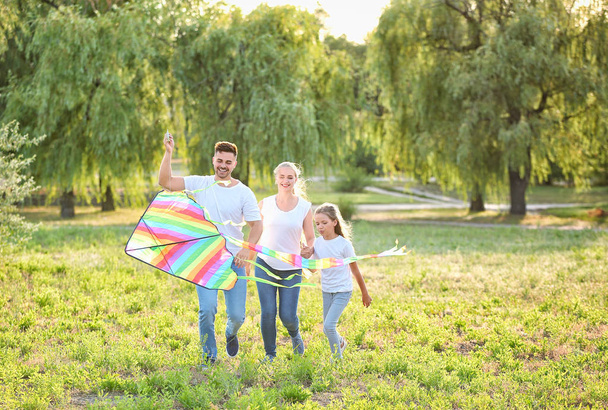 glückliche Familie fliegt Drachen im Freien - Foto, Bild