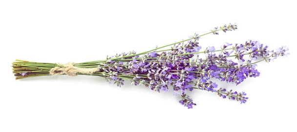 Beautiful lavender flowers on white background - Фото, изображение