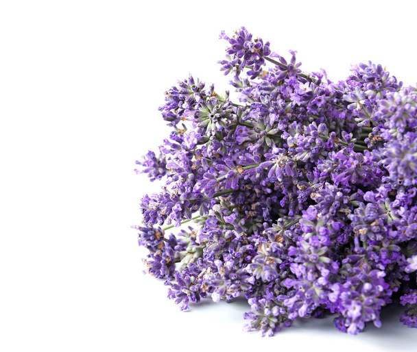 Mooie lavendel bloemen op witte achtergrond - Foto, afbeelding
