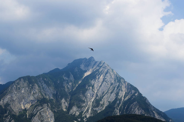 Hang Glider lentää Alppien kauniiden huippujen yli
 - Valokuva, kuva