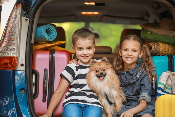 Dzieci i uroczy pies siedzi w bagażniku samochodu z bagażem - Zdjęcie, obraz
