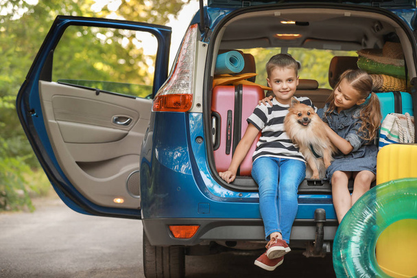 Children sitting in trunk of car with luggage - Photo, Image
