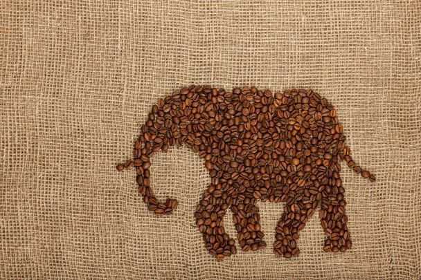 ελέφαντας από κόκκους καφέ - Φωτογραφία, εικόνα