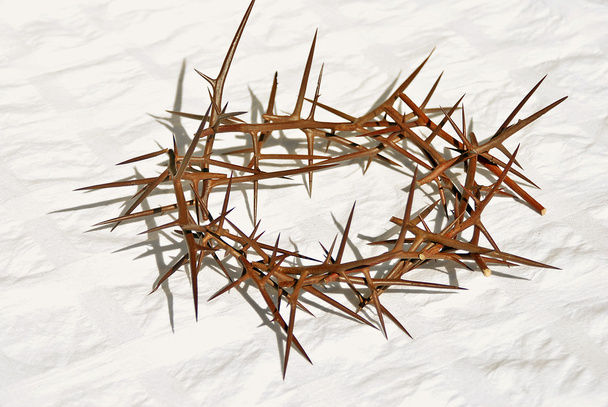 Crown of thorns - Photo, Image