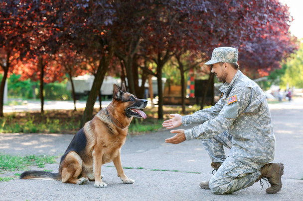 Soldato con cane da lavoro militare all'aperto
 - Foto, immagini