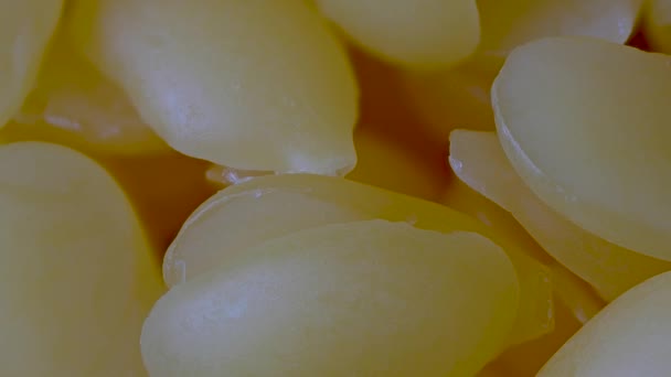 Macro close-up van gele zuivere biologische bijenwas granulaat pellets, pan shot - Video