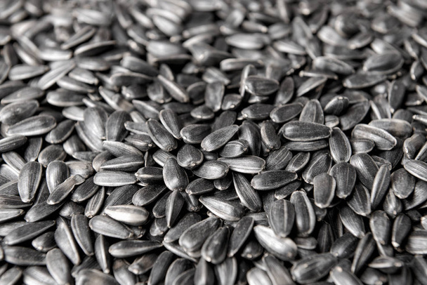 Many sunflower seeds as background - Фото, изображение