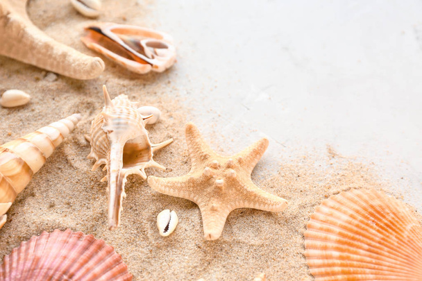 Gyönyörű tengeri kagyló, csillaghal és homok a világos háttér előtt - Fotó, kép