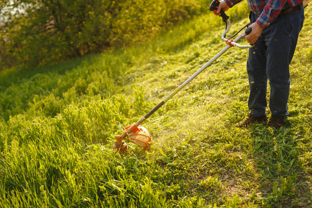 mowing trimmer - worker cutting grass in green yard at sunset - Photo, image